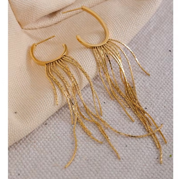 Anthropologie Jewelry - Long Tassel Drop Dangle Waterproof Tarnish Free Earrings
Stainless Steel